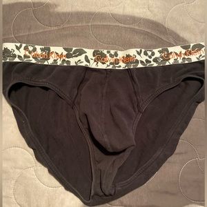 Calvin Klein briefs